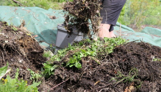 Greens are layered with browns. Food residues are put in the middle so that there are no temptations for animals. Greens are layered with browns. Food residues are put in the middle so that there are no temptations for animals.