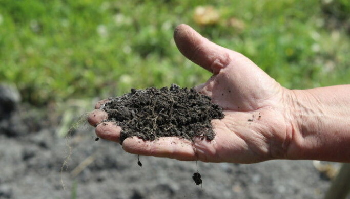 Compost is very good for soil structure, says Jolly. Compost is very good for soil structure, says Jolly.