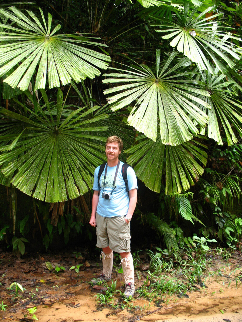 'The most important take away from the study is not that coconut oil is so much worse than other vegetable oils', says Professor Douglas Sheil. Rather, consumers need to realize that all agrigultural commodities have negative environmental impacts.