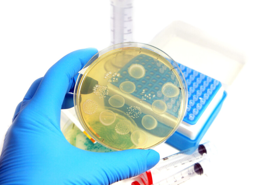 There are two ways a bacterium can become resistant to antibiotics. One way is that a common antibiotic-sensitive bacterium encounters an antibiotic-resistant bacterium. The other way a bacterium can become resistant is that a human, fish or animal takes antibiotics for a long time.