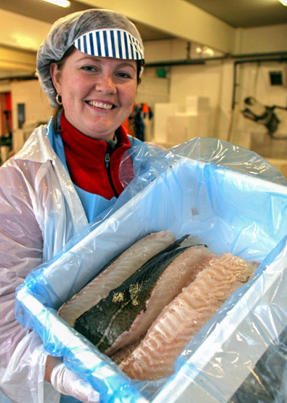 Here I have filleted high quality cod for a research project.