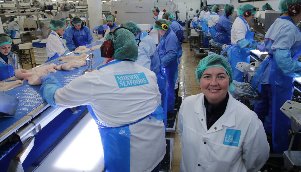 I am lucky to be working with fish still, even though I am not filleting it anymore. Here I am documenting fish quality in a research project where we cooperated with seafood corporation Lerøy Norway Seafoods