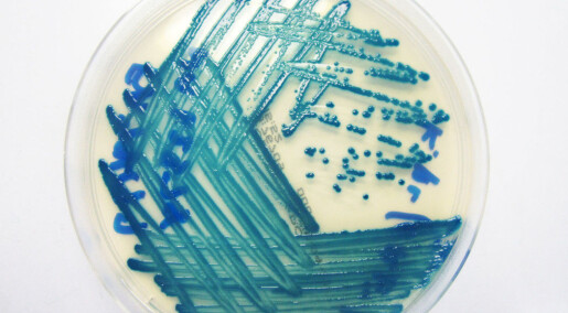 Small additives can make old antibiotics work again Small additives can make old antibiotics work again