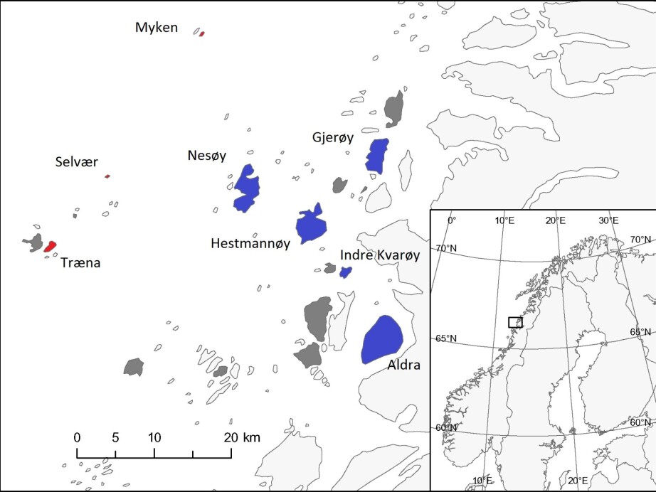 The islands in red and blue represent different habitats. The blue ones are where sparrows live on farms and the red ones are where sparrows live in people’s gardens.