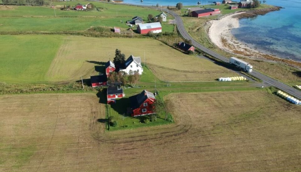 Here, at Sandtorg by Tjelsund, Tor-Kjetil discovered a trading place that existed as early as the 800s.