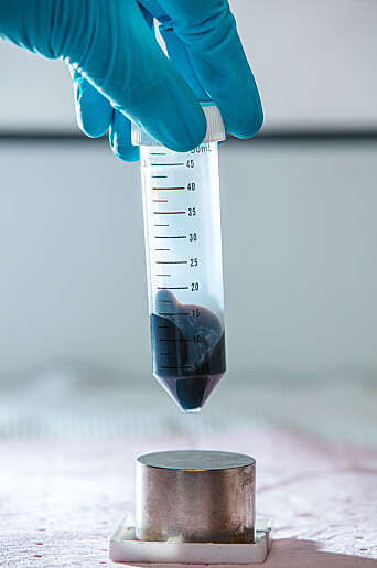A small tube with an enormous amount of magnetic nanoparticles. A small tube with an enormous amount of magnetic nanoparticles.