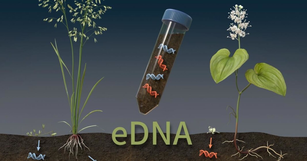 DNA fragments in soil samples reveal the plant species that live there, even if they are not visible. DNA fragments in soil samples reveal the plant species that live there, even if they are not visible.