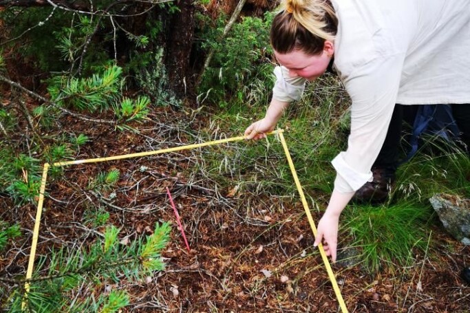 Mari Elisabeth Engelstad during field work at Hvaler, a community in the south-eastern part of Norway. Mari Elisabeth Engelstad during field work at Hvaler, a community in the south-eastern part of Norway.