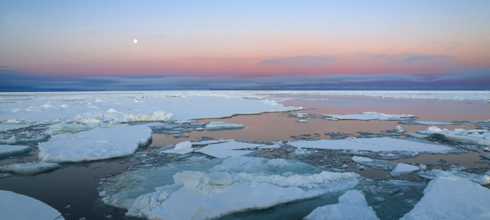 Speed of warming in the Arctic comparable to abrupt climate change events known in the distant past