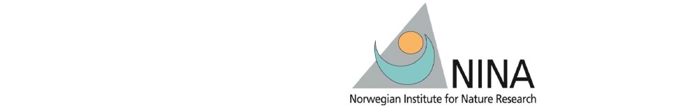 Empty article - Title