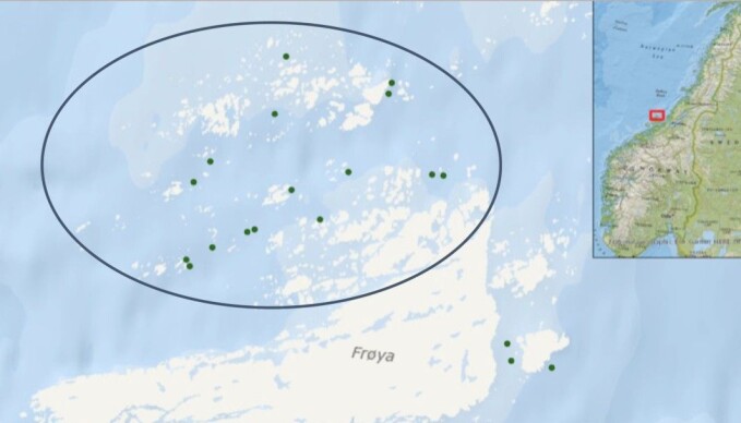 Lone Jevne, who has just completed her doctorate at the Norwegian University of Science and Technology (NTNU) studied lice infestations at 16 salmon farms on Frøya in Trøndelag over six years. There was lots of variation in how many cleaner fish were used at the different facilities, which made it possible for her to compare the effects the fish had on lice numbers. Lone Jevne, who has just completed her doctorate at the Norwegian University of Science and Technology (NTNU) studied lice infestations at 16 salmon farms on Frøya in Trøndelag over six years. There was lots of variation in how many cleaner fish were used at the different facilities, which made it possible for her to compare the effects the fish had on lice numbers.