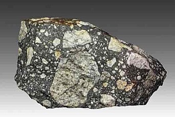 Breccia from the Gardnos Crater in Hallingdal. Breccia from the Gardnos Crater in Hallingdal.