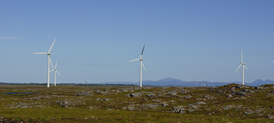 Simple measures can make wind turbines more bird friendly