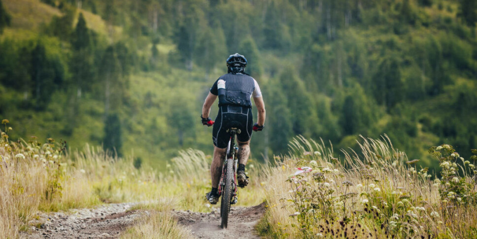 Falls are the most common cause of minor head injuries, but cycling and various sports accidents are also high on the list.