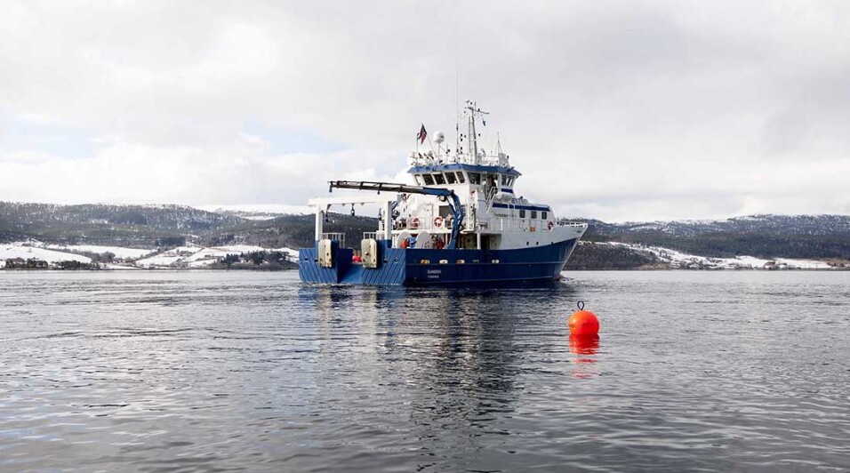 Scientists on a cruise to monitor sea trout.