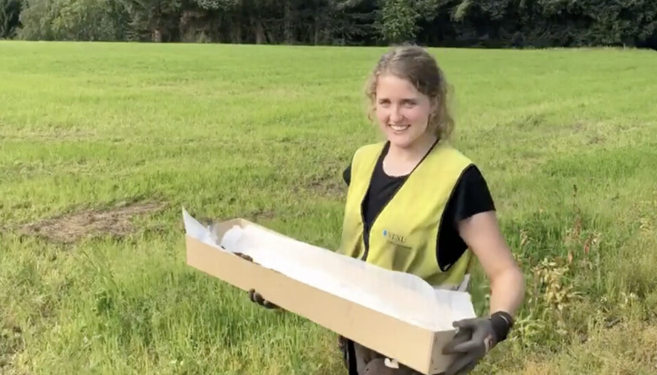 Astrid Kviseth carefully carries the sword away from the site. Now it will be investigated further.