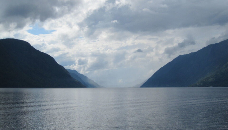 Tinnsjøen is Norway's third deepets lake at 460 metres. The researchers had never fished that deep before. They didn't know what bait or fishing method to use.