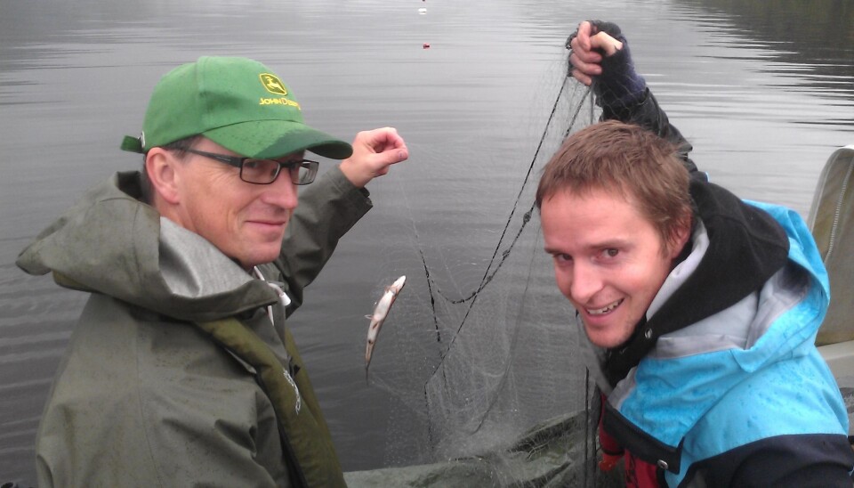 Kjartan Østbye and Marius Hassve in the boat during field work at Tinnsjøen.