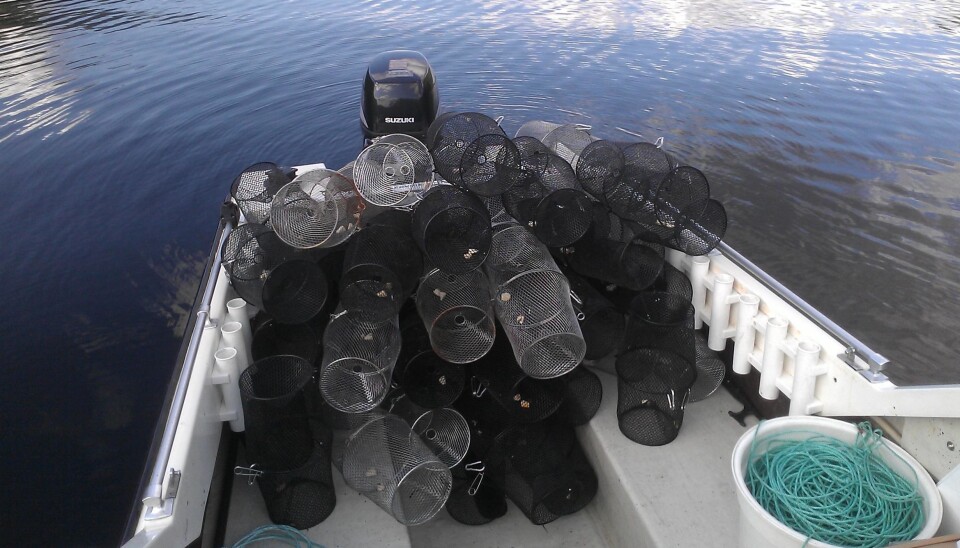 Ready to go hunting for char, with a boat filled with traps.