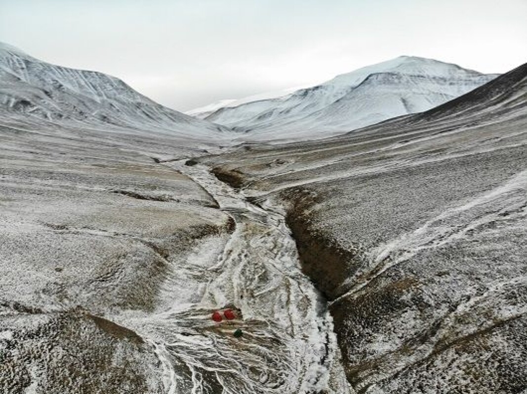 The greatest mass extinction of life on Earth happened 250 million years ago. Deltadalen, a valley on Svalbard, provides researchers important clues as to what actually happened. The greatest mass extinction of life on Earth happened 250 million years ago. Deltadalen, a valley on Svalbard, provides researchers important clues as to what actually happened.
