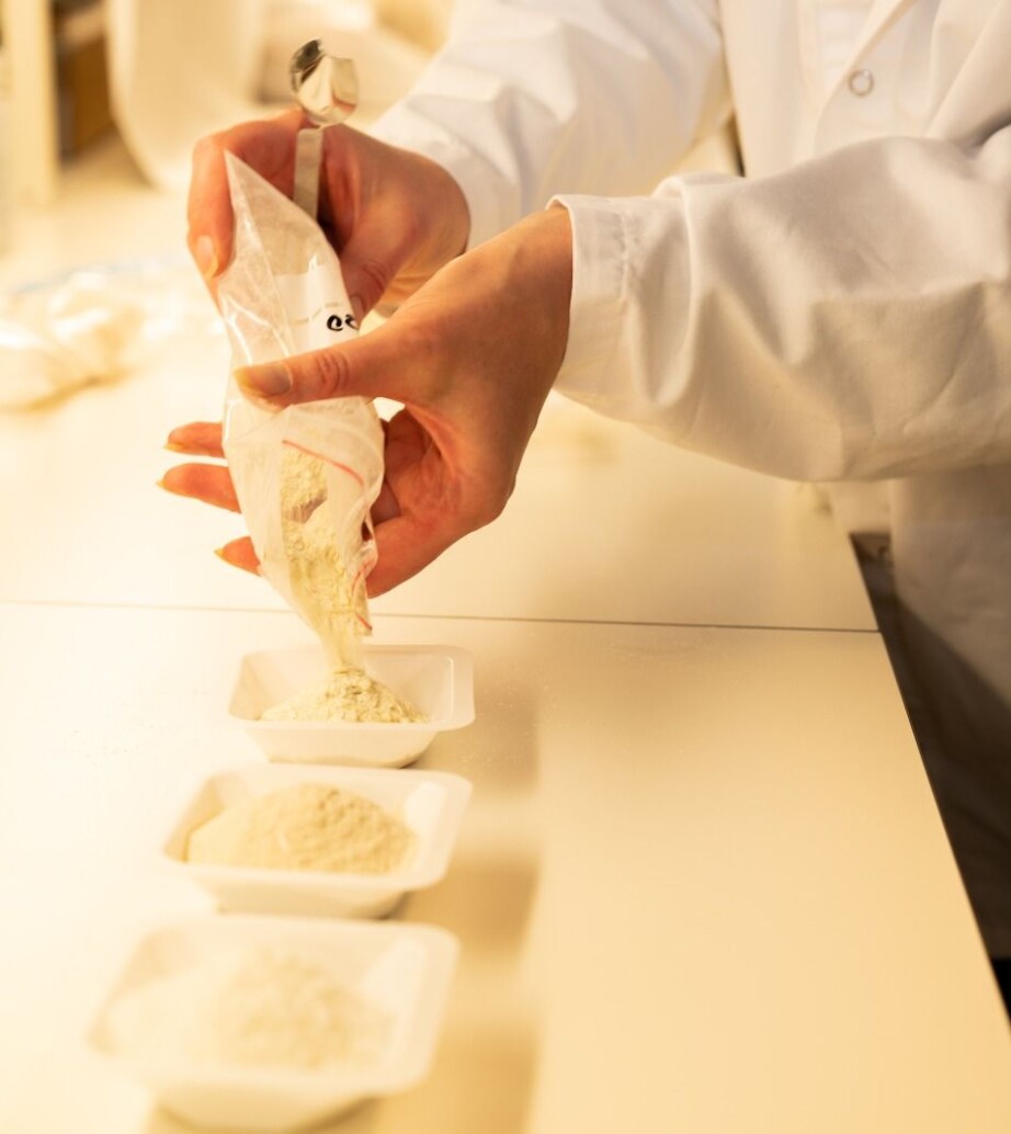 The photo shows pure protein extracted from salmon rest raw materials:gelatin, protein hydrolysate and taste-neutral proteins.