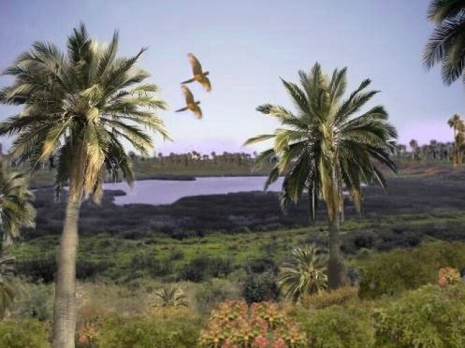This digital reconstruction shows what the interior of Rapa Nui may have looked like, with tropical forest and palm trees, before the first settlers arrived. Today, Rapa Nui is a more barren island covered in grassland. This digital reconstruction shows what the interior of Rapa Nui may have looked like, with tropical forest and palm trees, before the first settlers arrived. Today, Rapa Nui is a more barren island covered in grassland.