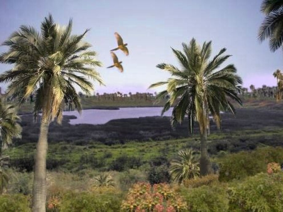 This digital reconstruction shows what the interior of Rapa Nui may have looked like, with tropical forest and palm trees, before the first settlers arrived. Today, Rapa Nui is a more barren island covered in grassland.
