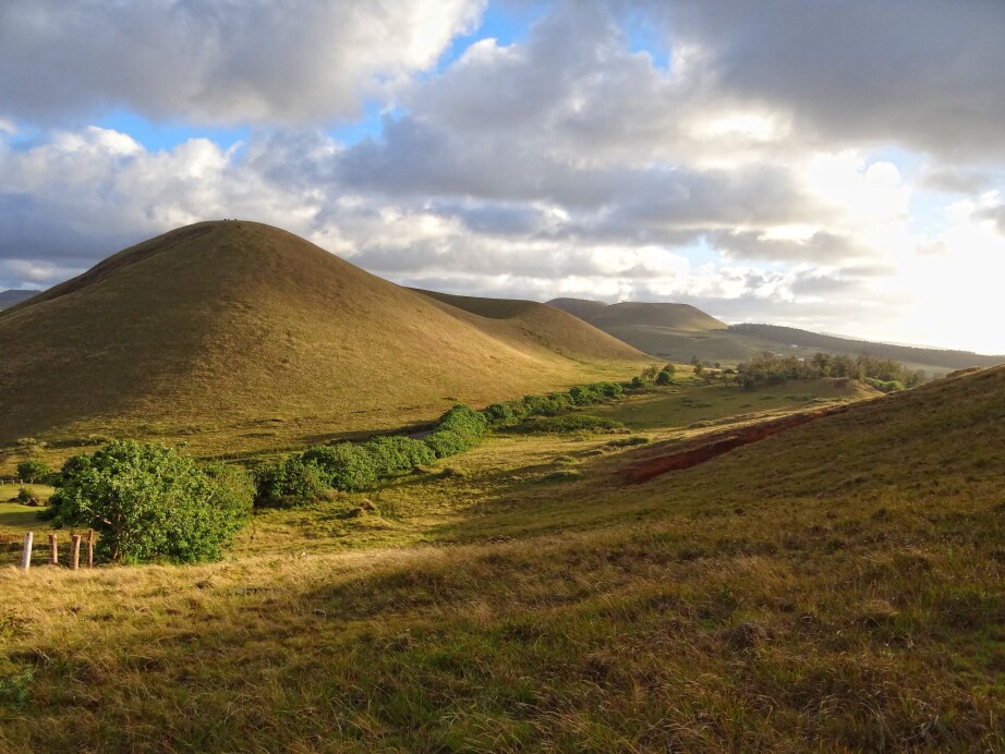A typical landscape on Easter Island today; rounded extinct volcanoes covered in low vegetation.