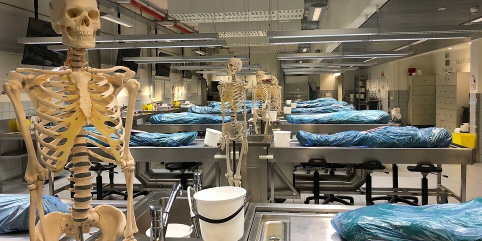 It is difficult to imagine that these bodies were alive before.
