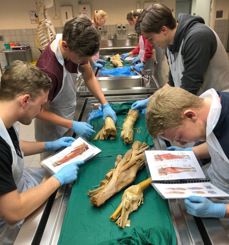 The body is more different than you think. The physiotherapy students look for nerves, bones and tendons, but not everything is as symmetrical as on the chart.