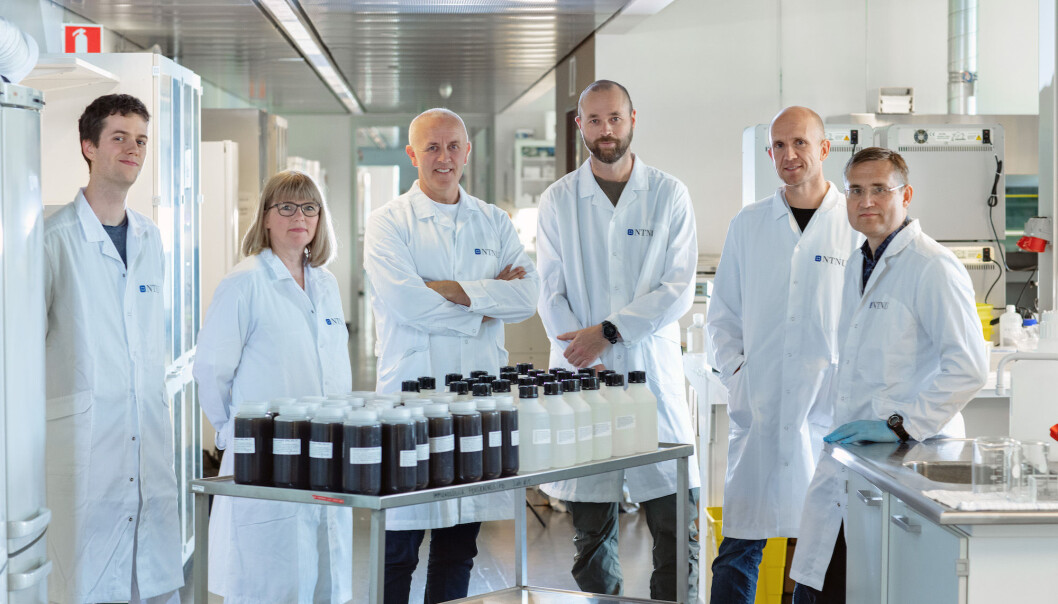 The table in front of the COVID-19 team at the Department of Clinical and Molecular Medicine contains 1.5 million tests. From left, Erlend Ravlo, staff engineer; Hilde Lysvand, senior engineer; Magnar Bjørås, professor and team leader; Sten Even Erlandsen, senior engineer; Lars Hagen, general manager, Proteomics and Modomics Experimental Core Facility (PROMEC); and Per Arne Aas, senior engineer. The table in front of the COVID-19 team at the Department of Clinical and Molecular Medicine contains 1.5 million tests. From left, Erlend Ravlo, staff engineer; Hilde Lysvand, senior engineer; Magnar Bjørås, professor and team leader; Sten Even Erlandsen, senior engineer; Lars Hagen, general manager, Proteomics and Modomics Experimental Core Facility (PROMEC); and Per Arne Aas, senior engineer.