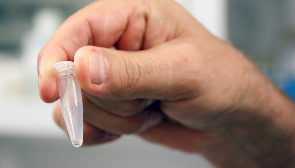 It may look empty, but this tiny little vial holds magnetic nanobeads that are used for the NTNU COVID-19 test.