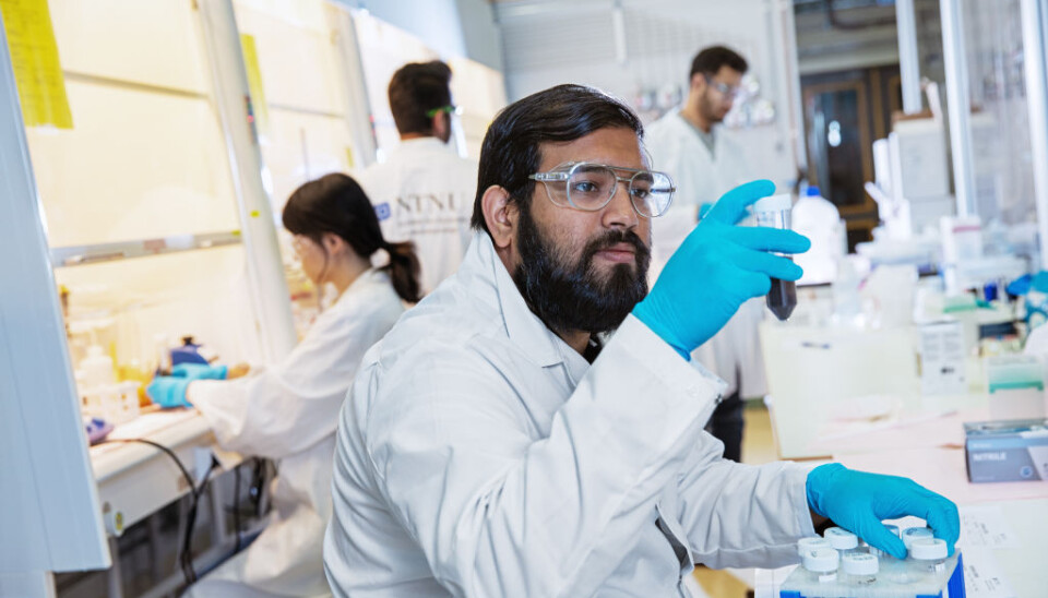 Postdoctoral Researcher Sulalit Bandyopadhyay from the Department of Chemical Engineering at NTNU in the bead production lab with his team. Bandyopadhyay is central in the development of a new test method for SARS-CoV-2 virus (corona test). In this photo he studies a sample of magnetic nanoparticles used in the new test method.