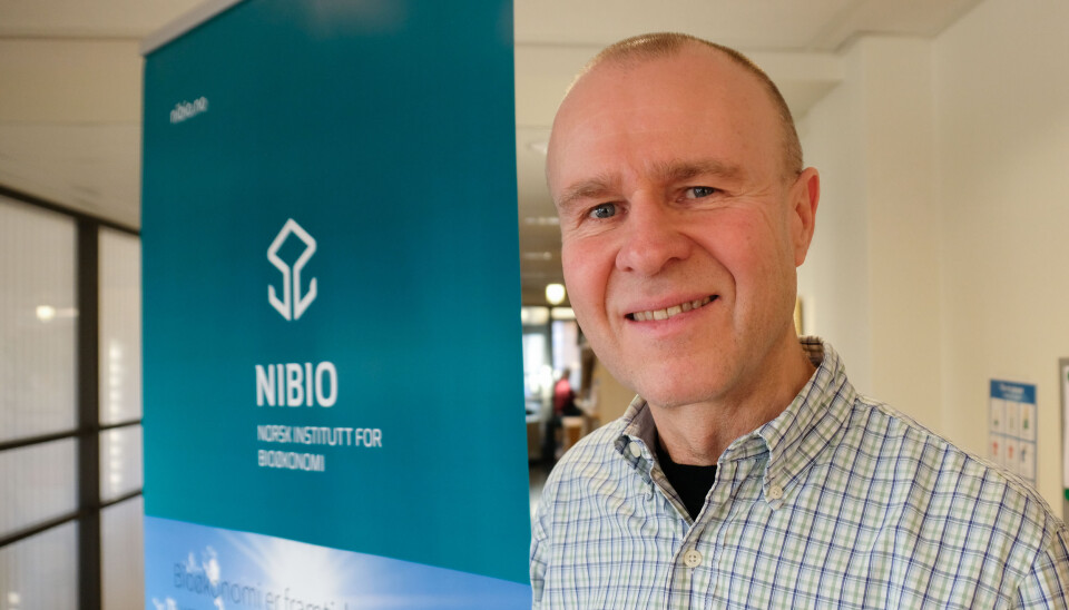 Geir Wæhler Gustavsen, researcher at NIBIO.