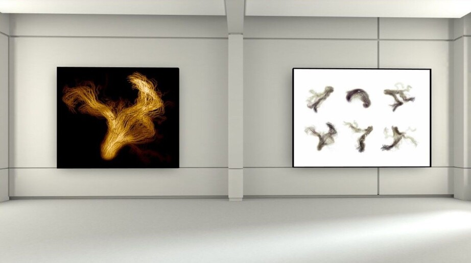 Kristian Stølevik Olsen: 'Cluster Instability I' (left) and 'Cluster Instability II'.