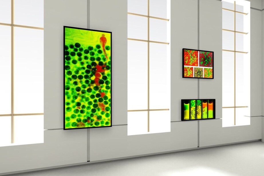 Joachim Falck Brodin: 'The blood runs freely' (left), 'It could be so simple' (upper right) and 'Alchemy'.