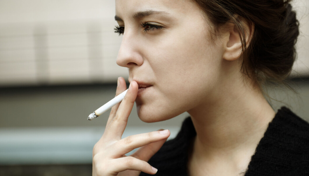 Men smoke more and longer than women in Norway. Still, the women have a higher risk of getting lung cancer and dying from it, according to a research from UiT The Arcit University of Norway. Men smoke more and longer than women in Norway. Still, the women have a higher risk of getting lung cancer and dying from it, according to a research from UiT The Arcit University of Norway.