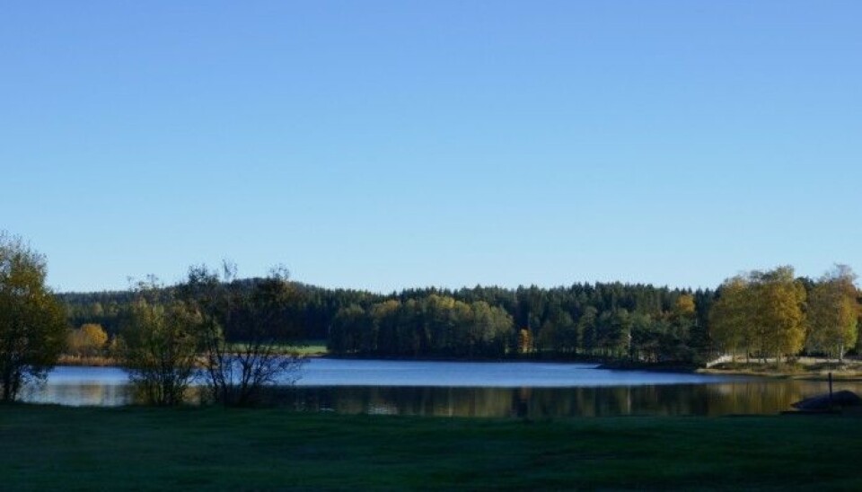 Lundebyvann, Indre Østfold, where Camilla Hagman has done parts of her research.