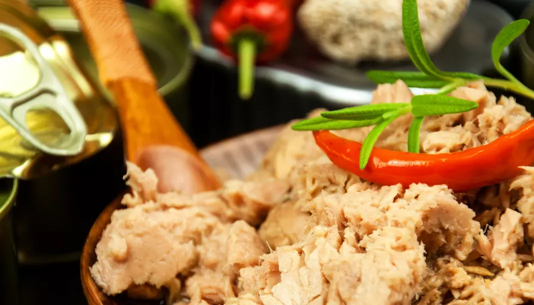 Can tinned tuna become even better if exposed to high pressure? We are about to find out.