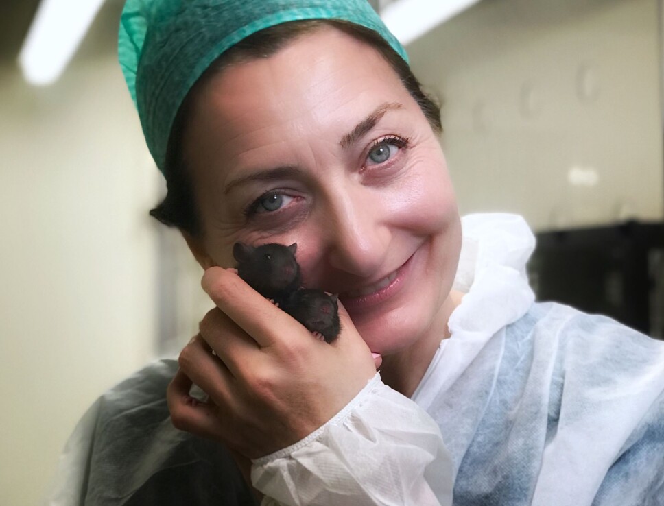 May-Britt and Edvard Moser have always been open about how they use animals in their research. They have invited journalists and photographers into their laboratory. ‘This is a decision we made early on. We have nothing to hide. Everyone should be able to see that our animals are taken good care of,’ says May-Britt Moser.