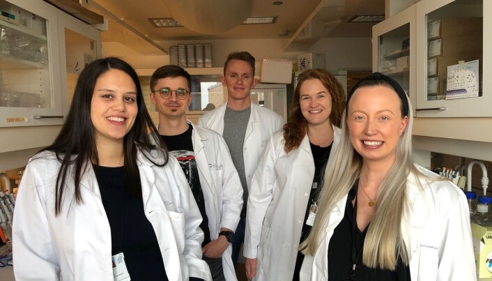 The team of reesarchers behind the recent published article on "Super Albumin": Jeannette Nilsen, Algirdas Grevys, Torleif Tollefsrud Gjølberg. Heidrun Elisaberth
Lode and Malin Bern. The team of reesarchers behind the recent published article on "Super Albumin": Jeannette Nilsen, Algirdas Grevys, Torleif Tollefsrud Gjølberg. Heidrun Elisaberth
Lode and Malin Bern.