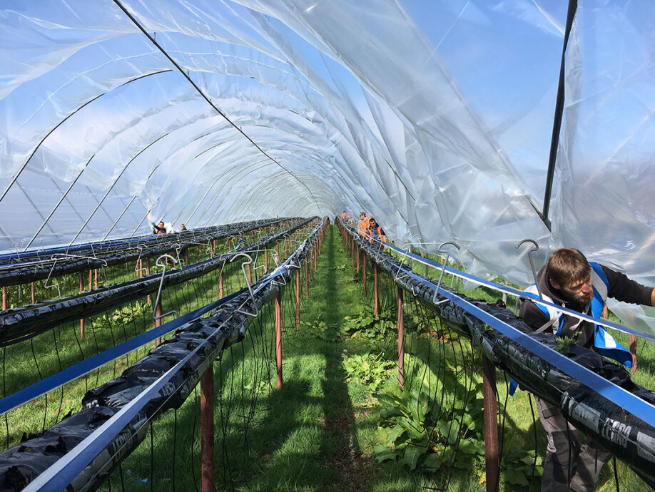 The researchers believe Europe is on the same course as the United States in terms of the industrialization of agriculture.