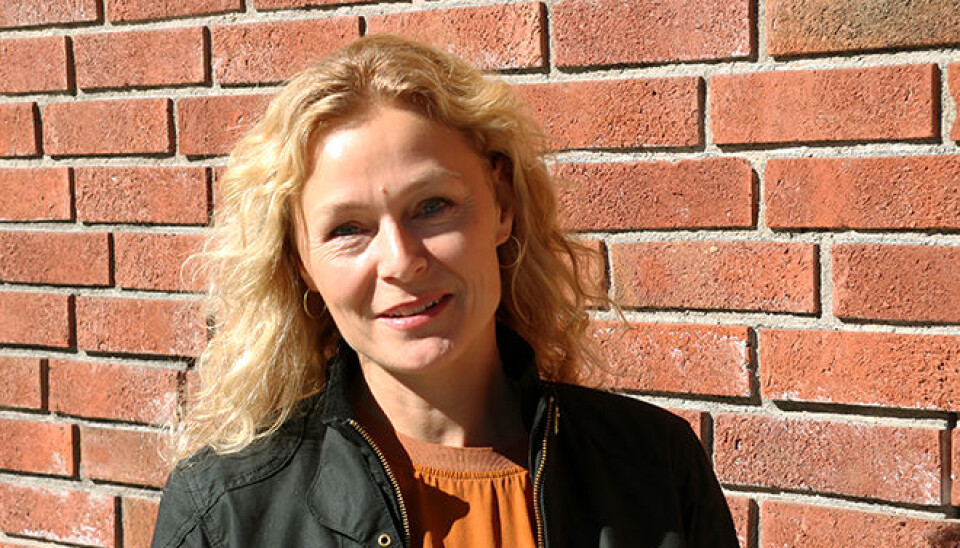 The idea that the government is responsible for public health, is not exclusively Norwegian, according to historian Sunniva Engh.