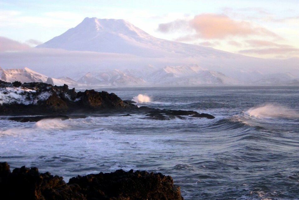 Beerenberg on Jan Mayen is the world's northernmost volcano and almost 2 300 metres high. It is Norway's only living volcano above the ocean surface. Will scientists find more? The areas around Jan Mayen are far more volcanically active than we knew until a few years ago.