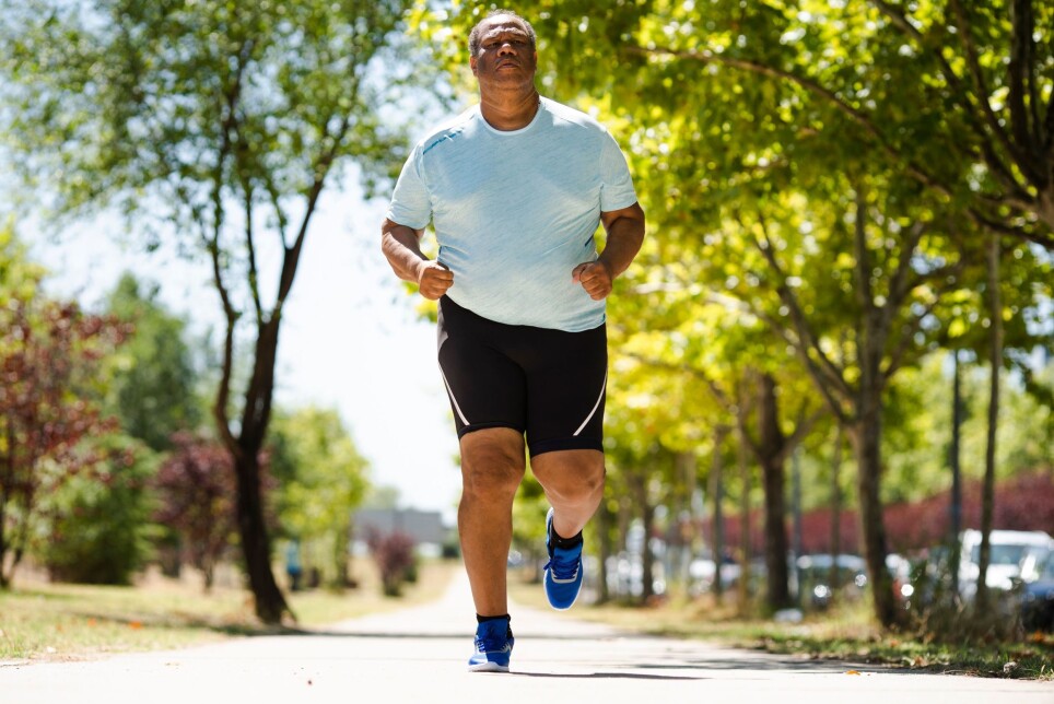 Being overweight increases your exposure to diabetes. By “stimulating the fat”, your actual fatty mass functions better. This has been demonstrated by the study on mice, based on data from an NIH study conducted in 2013.