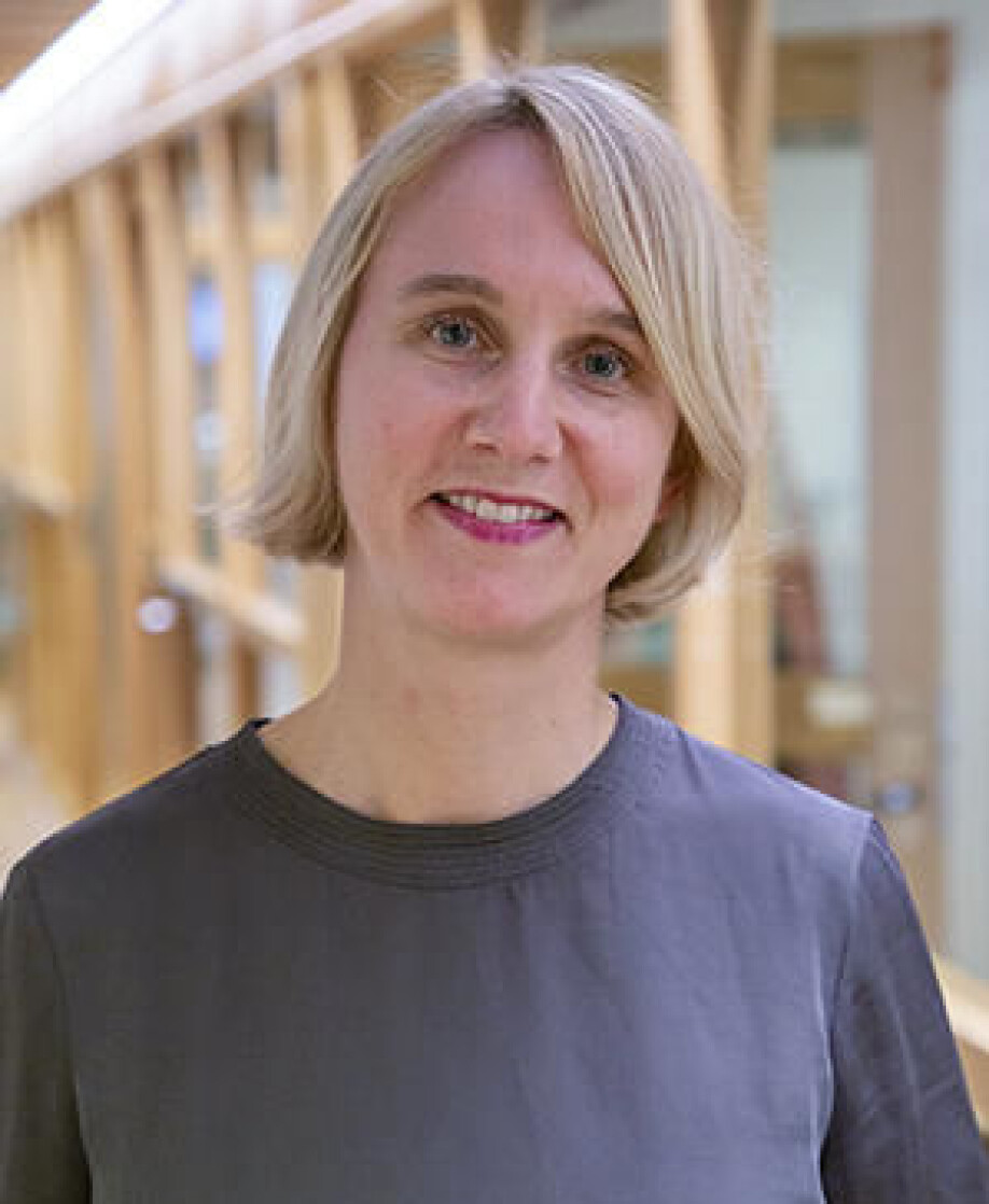 Professor and CAS project leader Cathrine Holst.