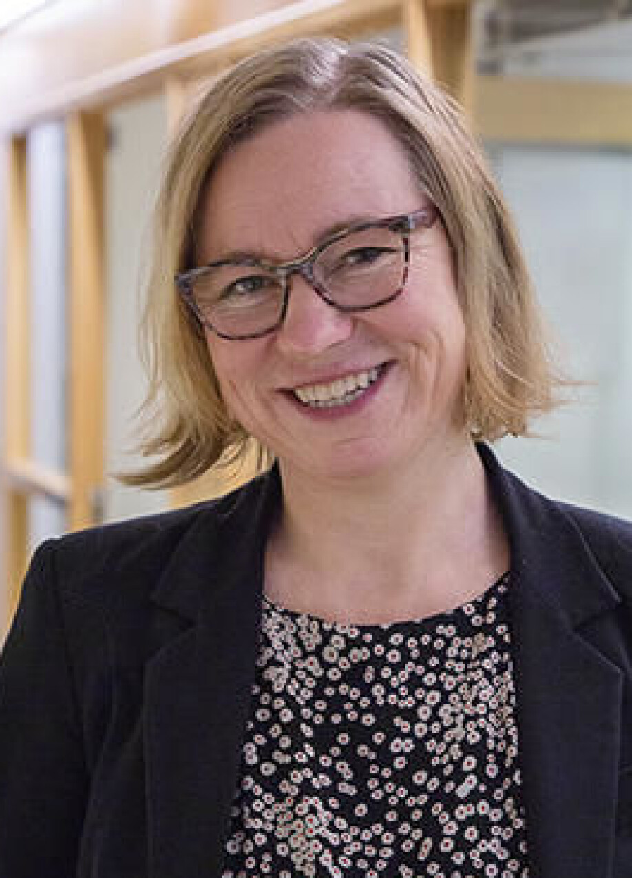 Professor and CAS project leader Mariann Bjelland Kartzow.