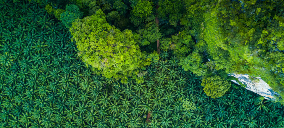 Agriculture eating into biodiversity hotspots worldwide