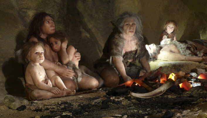 Language evolved alongside the brain in the early human species. Language evolved alongside the brain in the early human species.