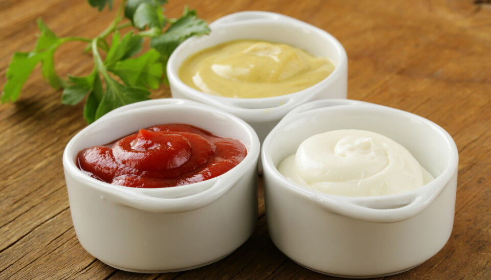 A number of products we eat contain fat substitutes such as starch. Nanocellulose could be part of our diet in the future.